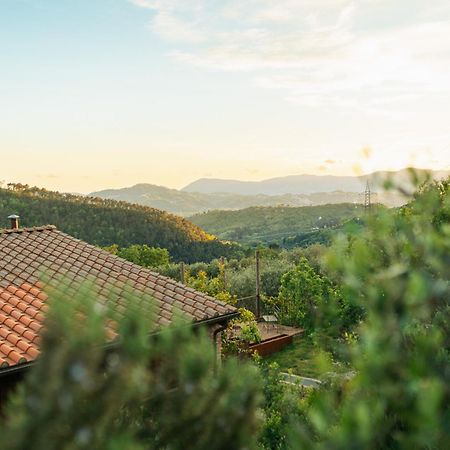 Agriturismo La Burlanda Fosdinovo Ngoại thất bức ảnh