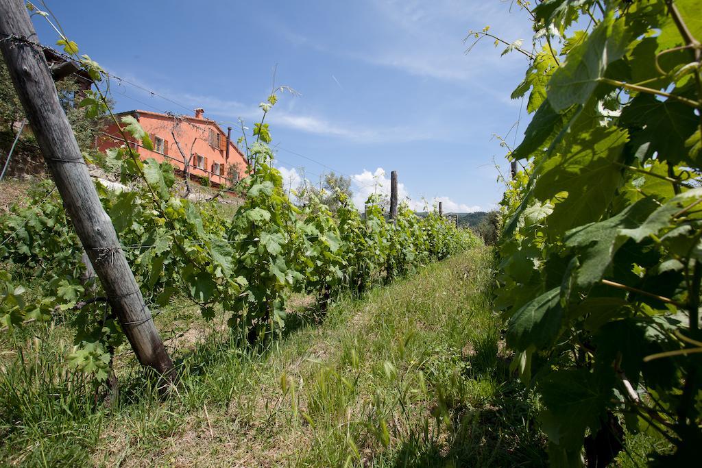 Agriturismo La Burlanda Fosdinovo Ngoại thất bức ảnh